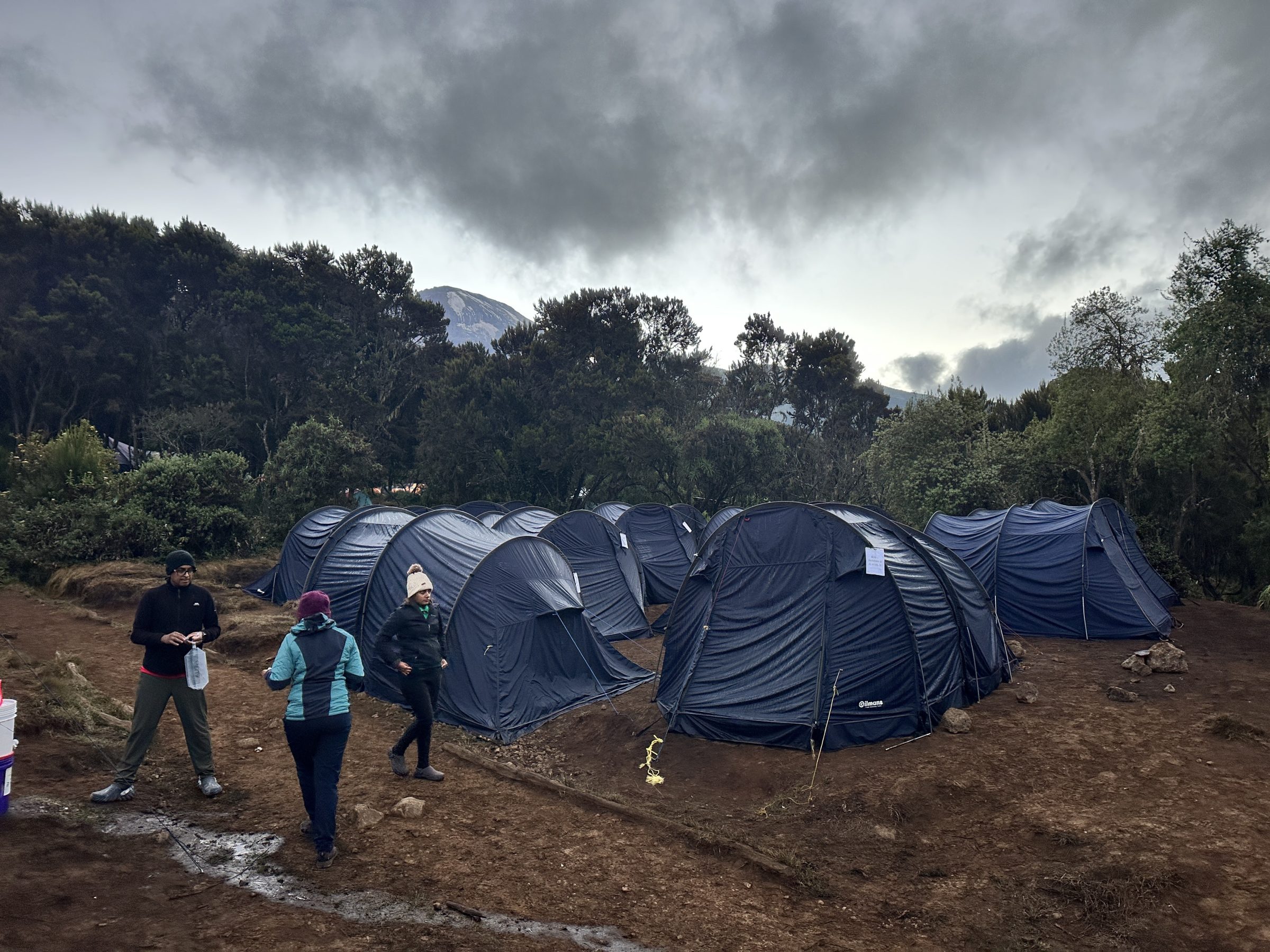 Members of Hindu Temple Mark 50th Anniversary by Conquering Kilimanjaro